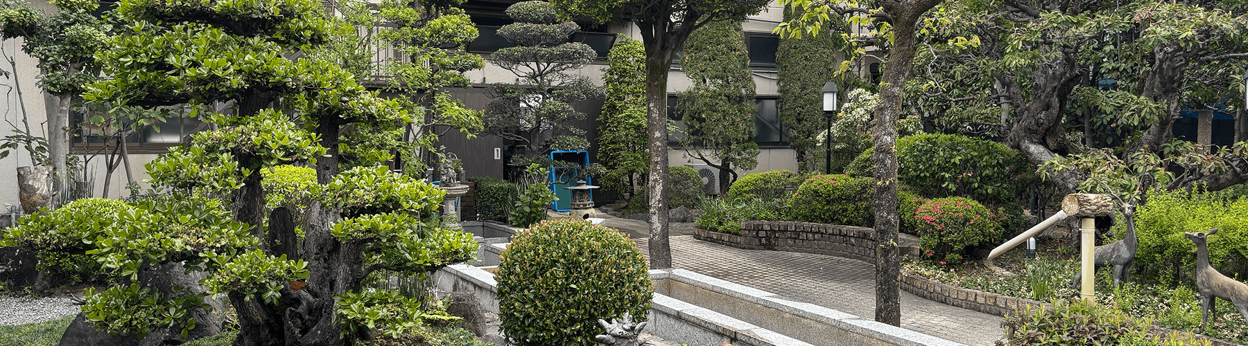 お知らせページ